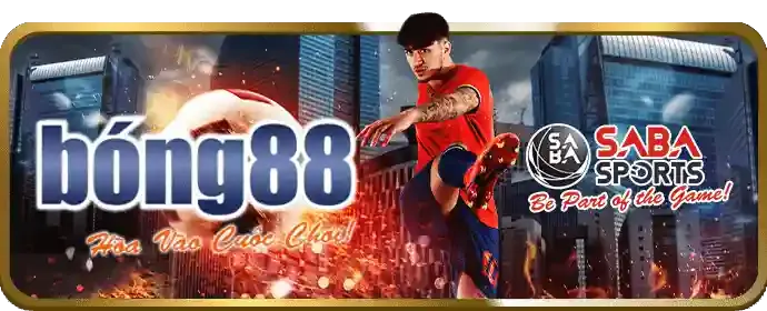 Điều khoản dịch vụ KO6699